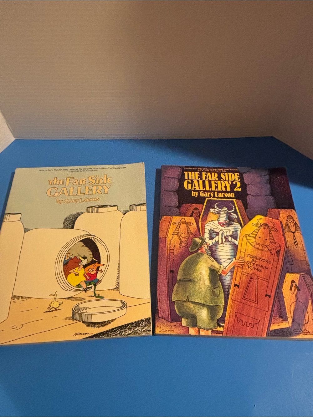 The Far Side Books